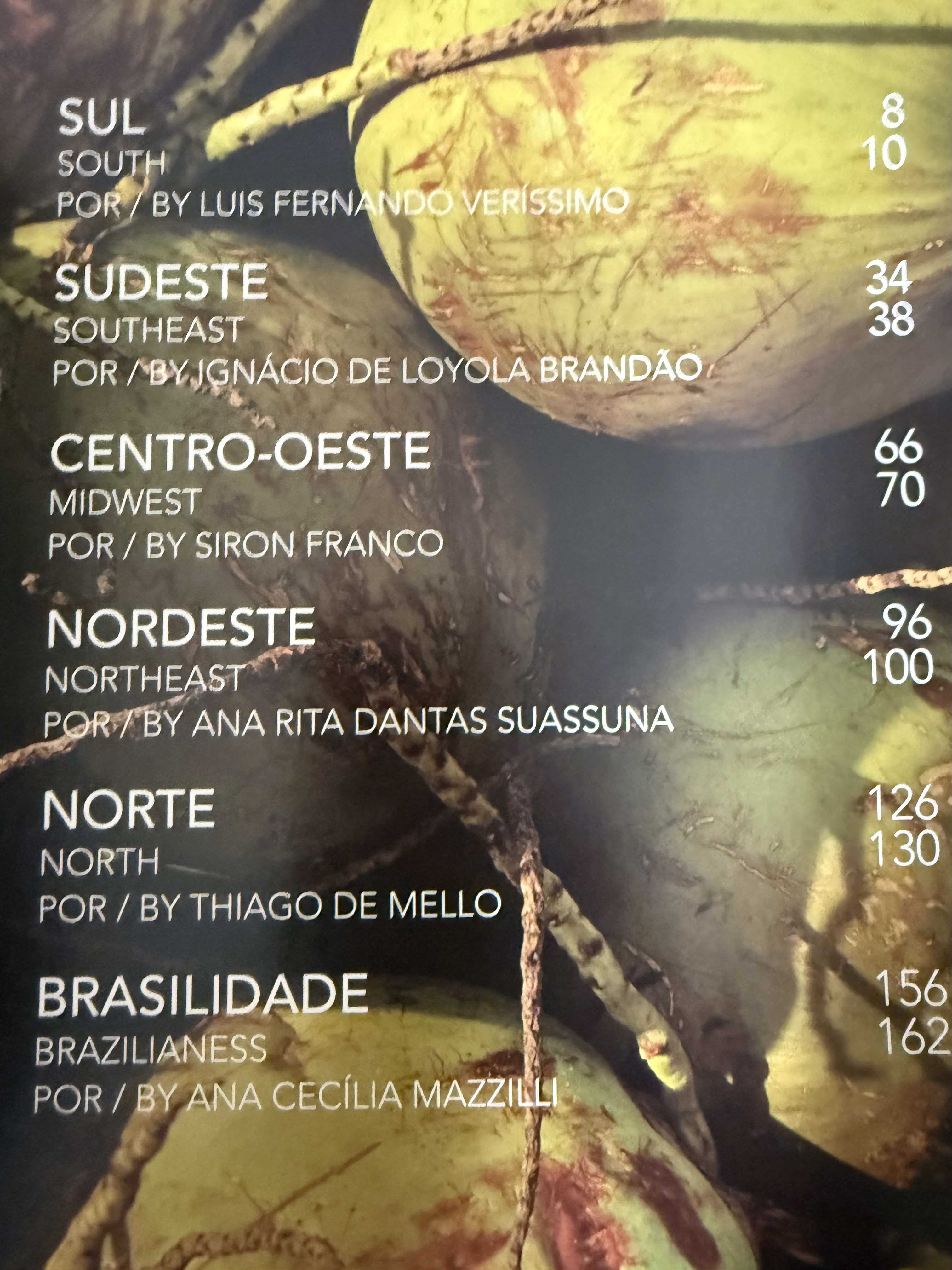 Carregando imagem da contra-capa...